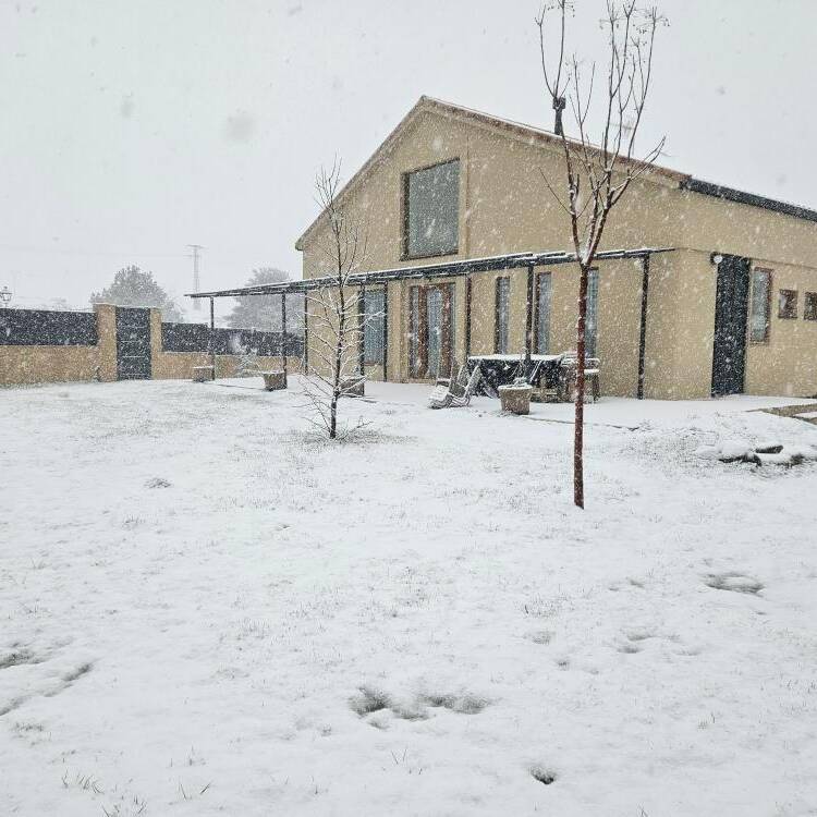 5 SF23 Portfolio nieve