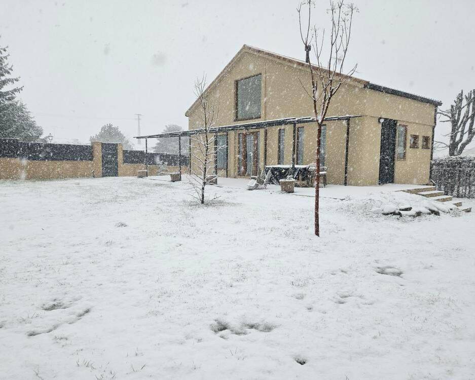 5 SF23 Portfolio nieve